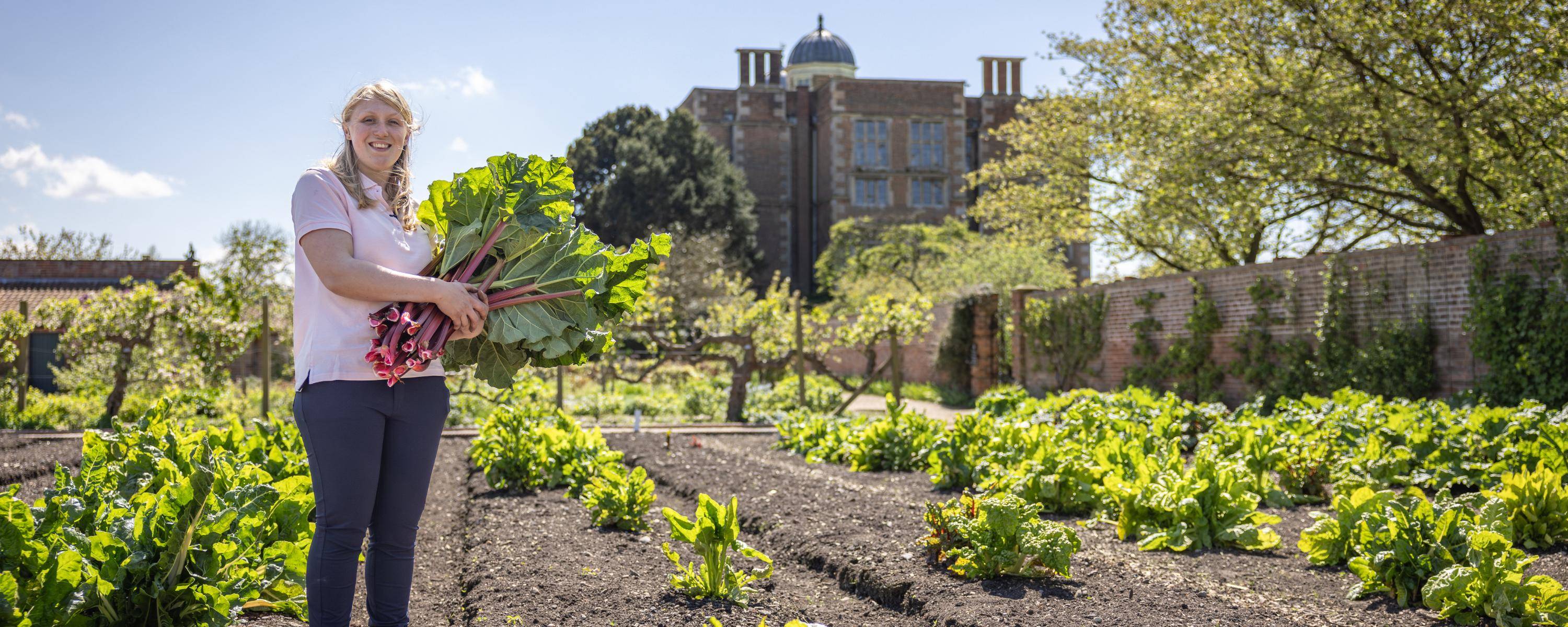 The life of a kitchen gardener