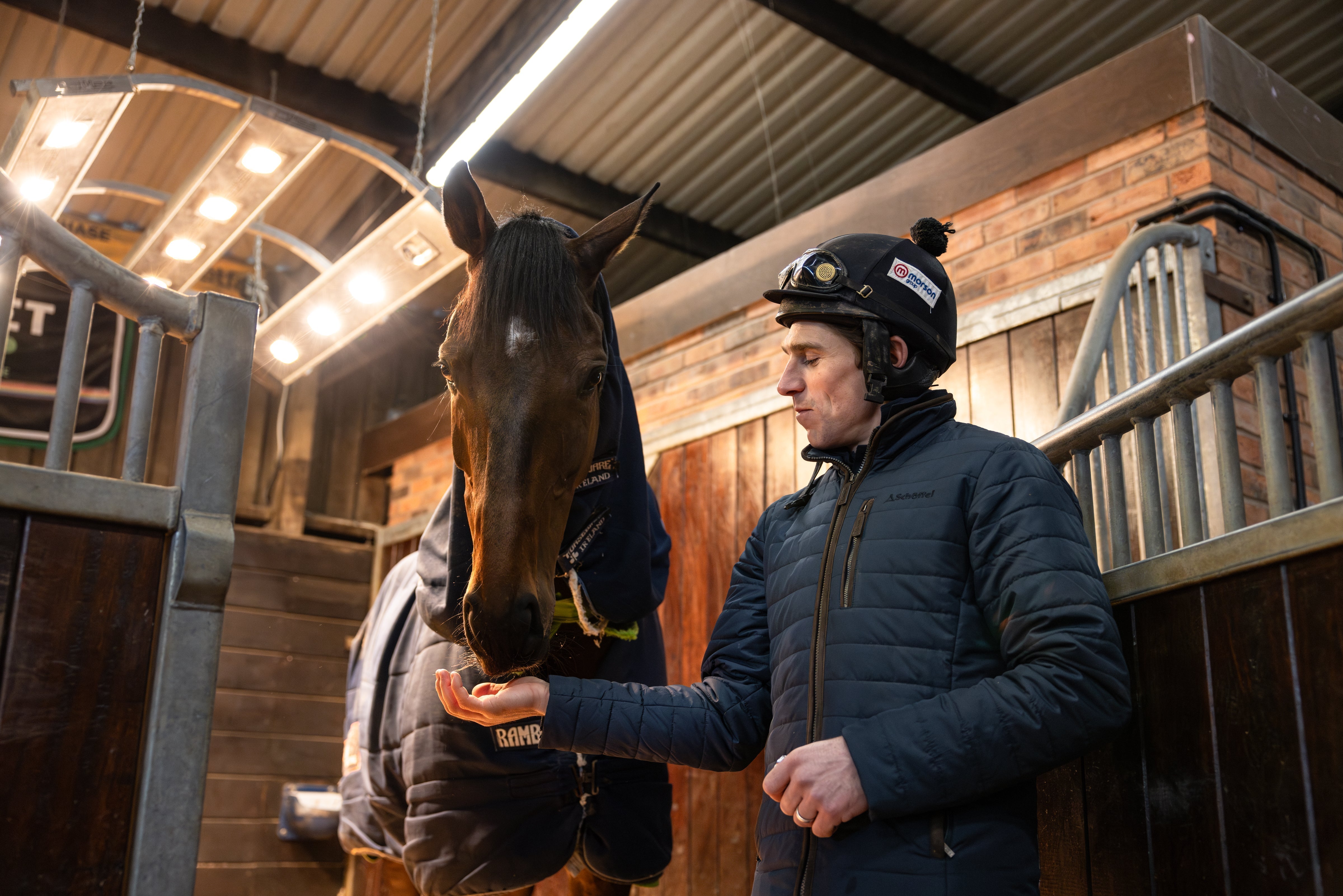 Harry Skelton, wearing a navy quilted jacket and a black riding helmet with goggles, feeds Protektorat, a dark brown racehorse wearing a navy blanket, inside a stable.