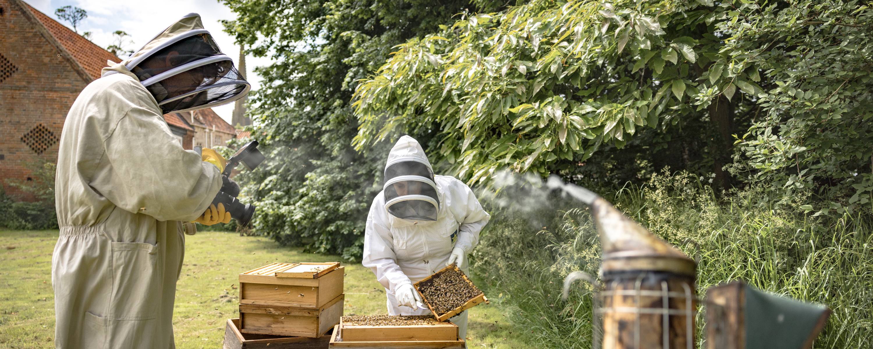 Oh, to be a beekeeper