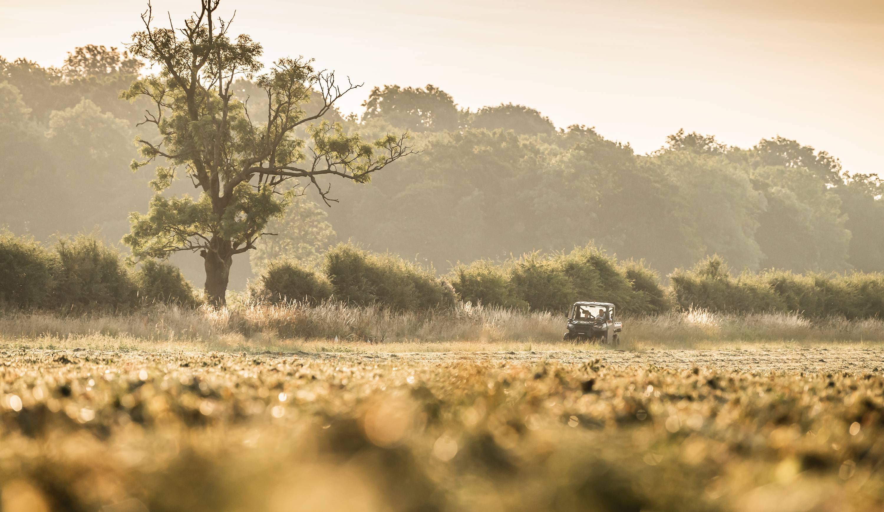 The Schöffel Countryside Awards