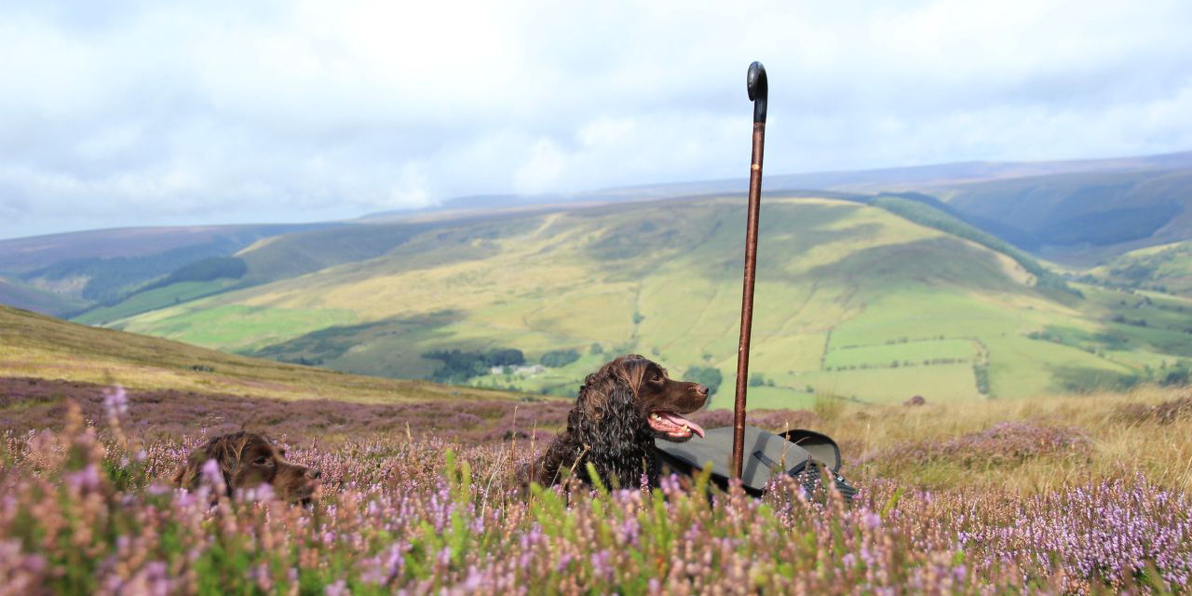 What to wear grouse shooting