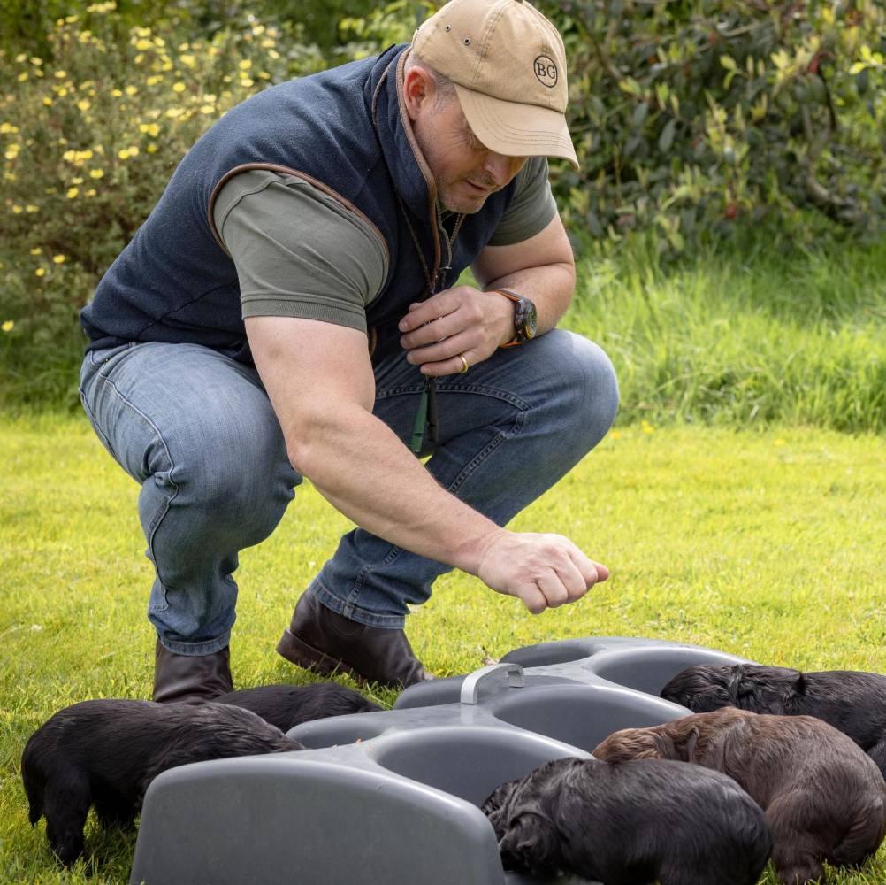 A man crouches down looking at 5 puppies feeding. The man wears a navy gilet, green t-shirt  and denim jeans and brown boots.