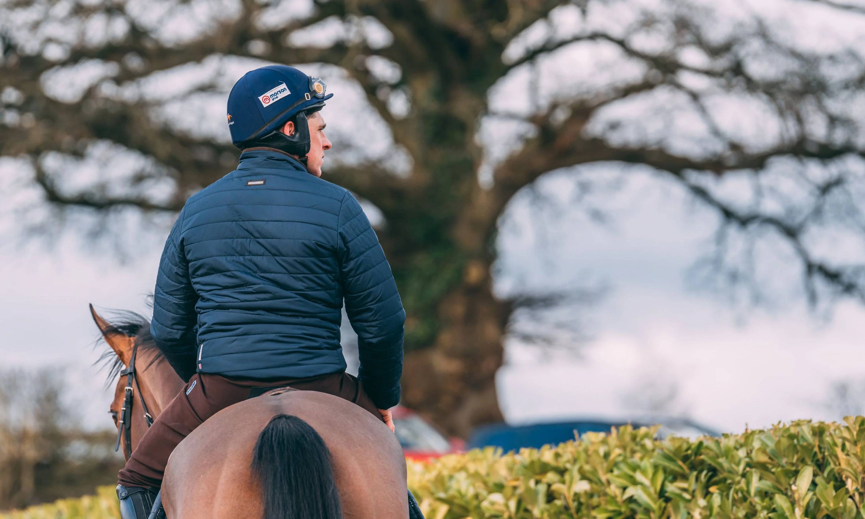 A back view of a man riding a brown horse as the man peers to his right over a hedge.