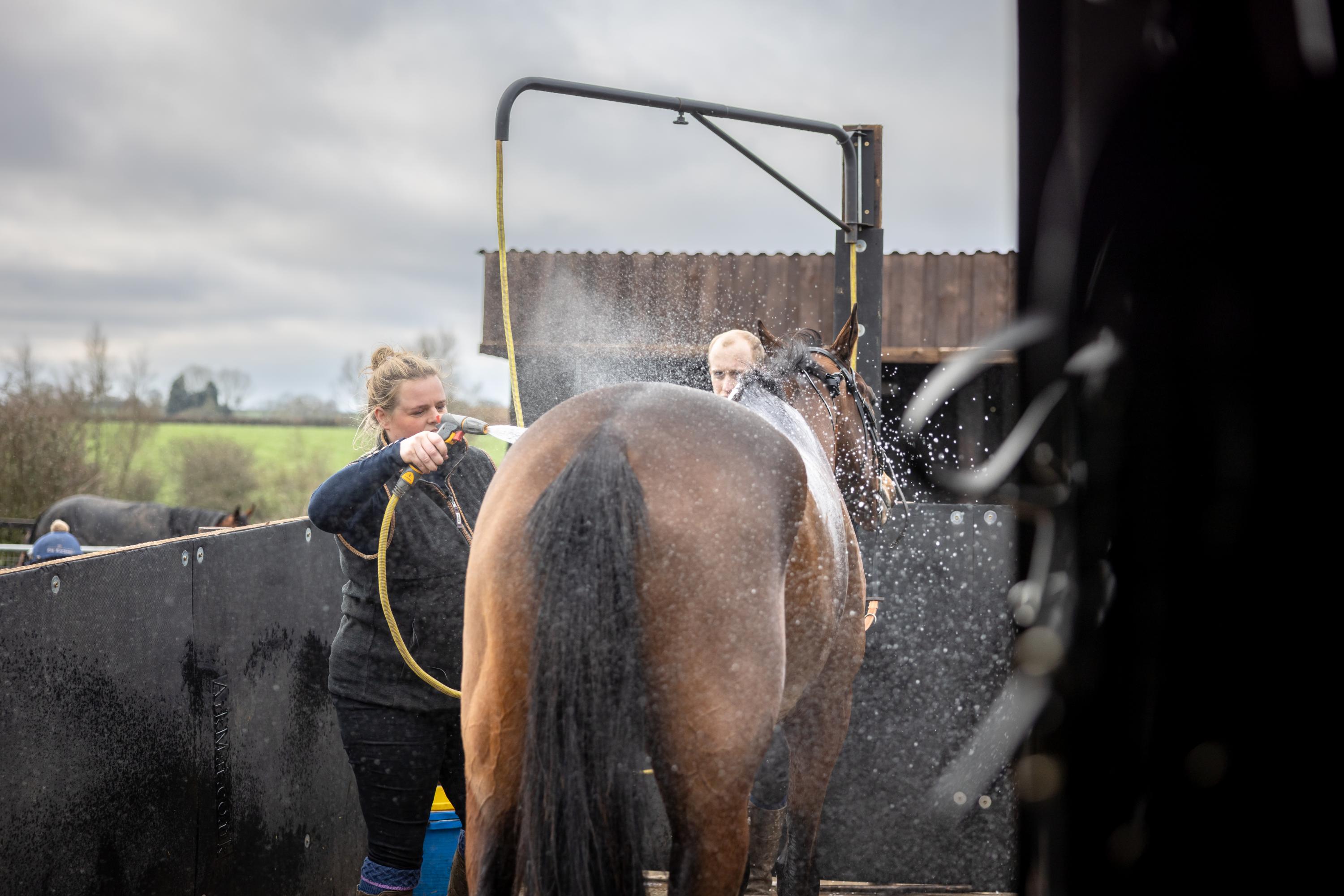 A woman holds a hose pipe while washing down a brown horse.