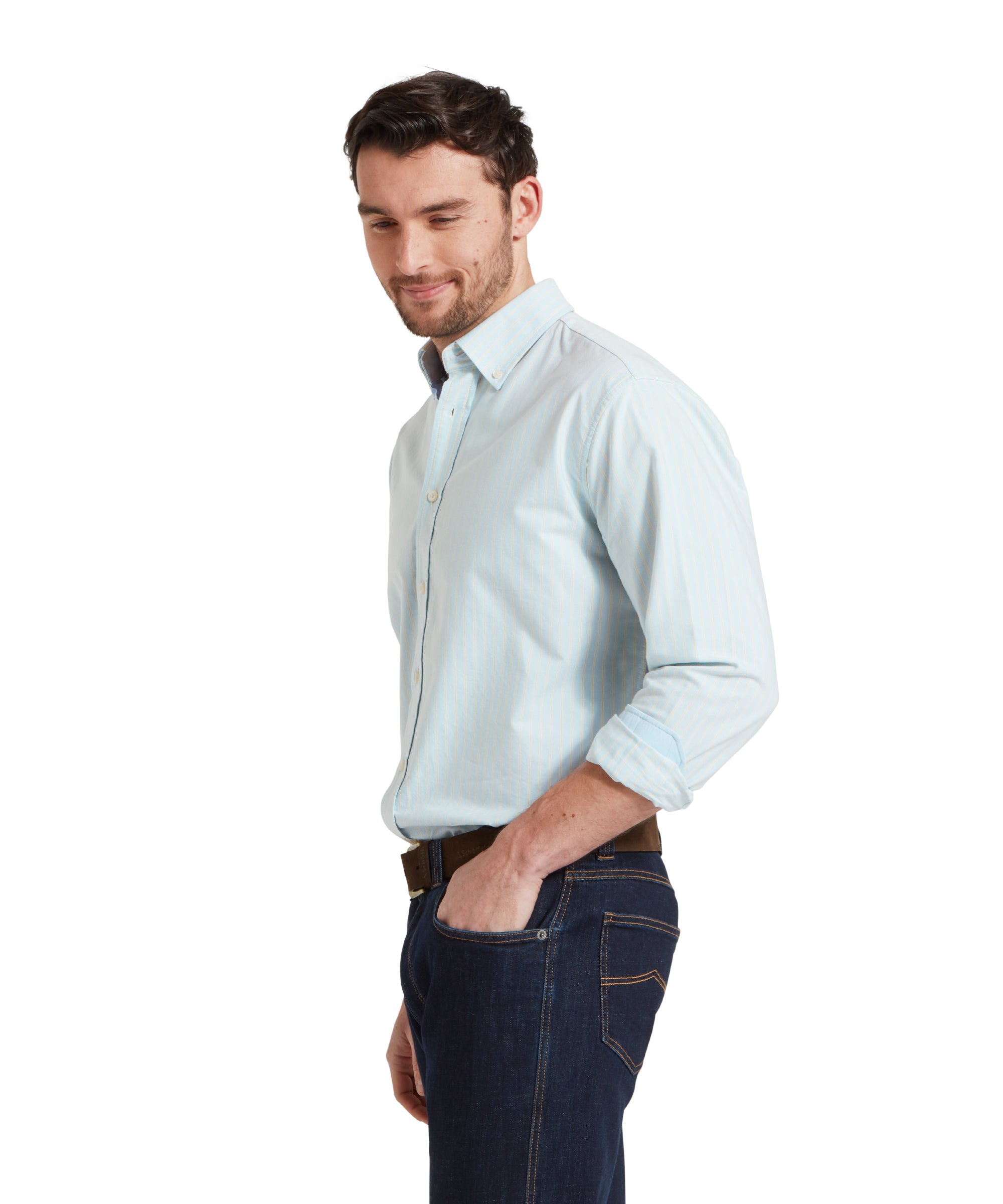 Holt Soft Oxford Tailored Shirt - Pale Blue/Lemon Stripe